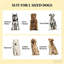 Station de nourriture pour chien, support de bol pour chien surélevé