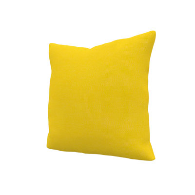 Sunbrella® Throw Pillow