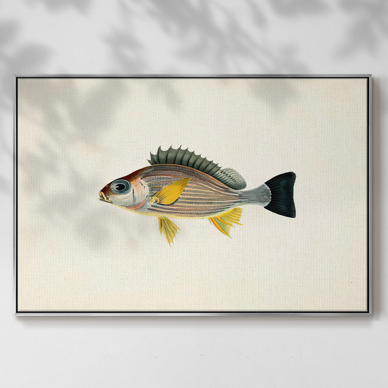 " Tropical Fish Collection III ", 27" H x 41" W x 2" D, Silver Framed