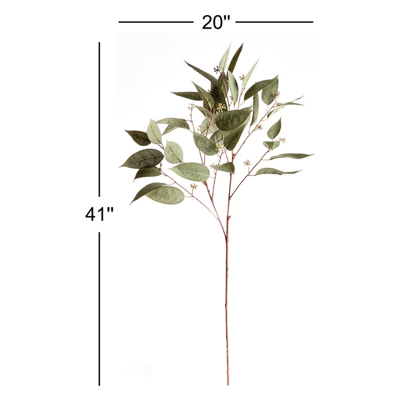 41-Inch Eucalyptus Seed Stem