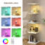Display Cabinet-598764256