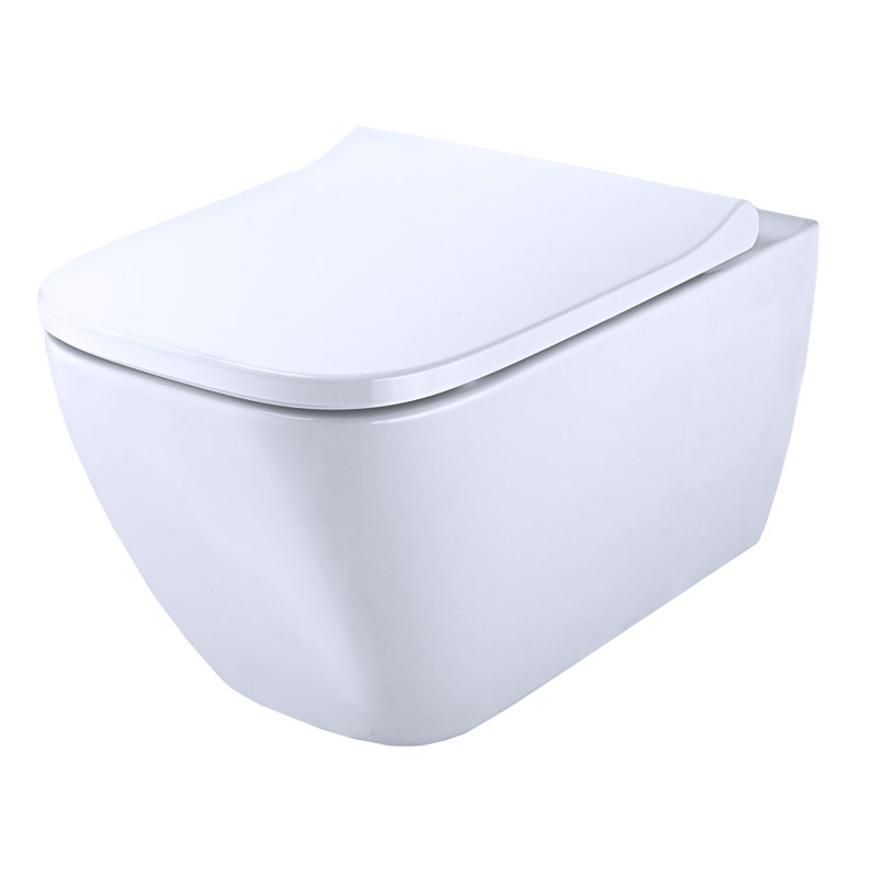 Wall Hung Toilet with Soft Close Seat