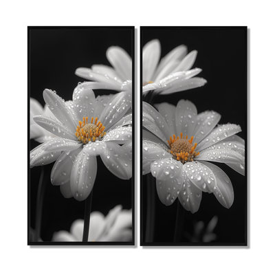 Monochromes noir et blanc Bliss Daisy Photo III - art mural blanc 2 pièces