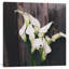 « calla lilies » par reproduction de photo sur toile tendue Olivia Joy-73793894-73793895-73793896