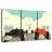 Ready Set Drag Race-1246861409