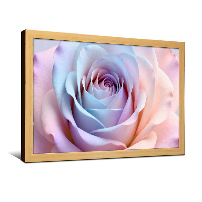 Plantes et fleurs, reproduction de pétales de rose pastel, H 20 po x l 30 po, Noir