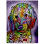 «Sweet Poodle», impression-25776780-25776774-25776777