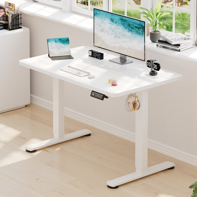 Mallus 120CM x 60CM Electric Height Adjustable Standing Desk