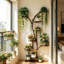 Plant Stand 8 Tier