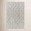 Geometric Area Rug in Gray-914173473