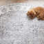 Tapis lavable antidérapant Vintage Medallion-139604173-139604177