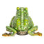 Boîte à bijoux bijou grenouille