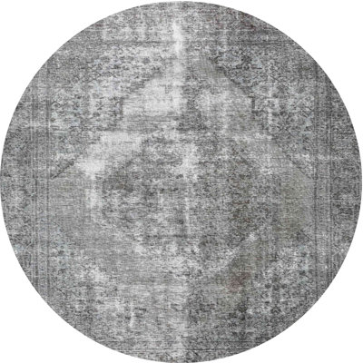 Aizaiah Oriental Indoor Rug