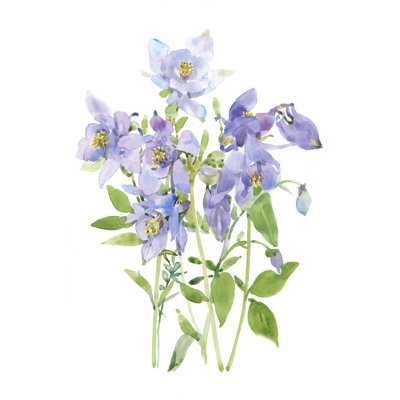 " Columbine Spray I " Painting Print