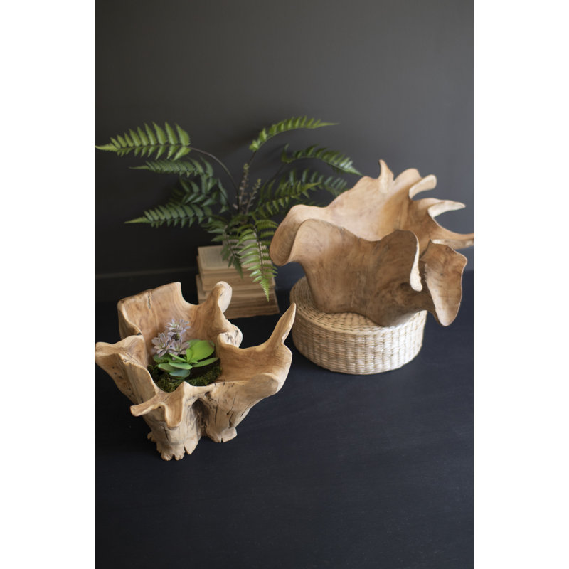  Hand Carved Teak Root Bowl Blooming Design Decorative Tabletop Decor Accent Natural Brown Finish