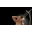 Pomme de douche double multifonctionnelle avec technologie H2okinetic-17395122