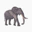 African Elephant Tissue Box Cover