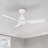 Raenah 44'' Ceiling Fan with LED Lights