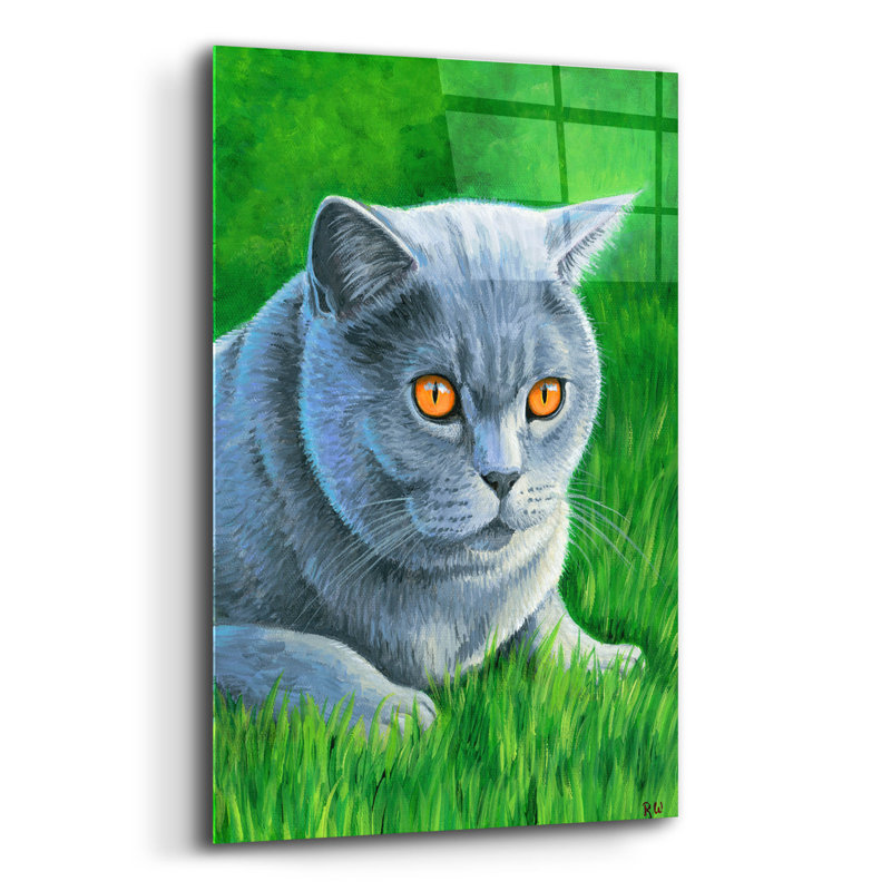 «Grey British Shorthair Cat» par Rebecca Wang, art mural en verre acrylique, H 24 po x l 16 po x P 0,2 po
