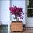 15.7"W Wooden Planter Box -122764509