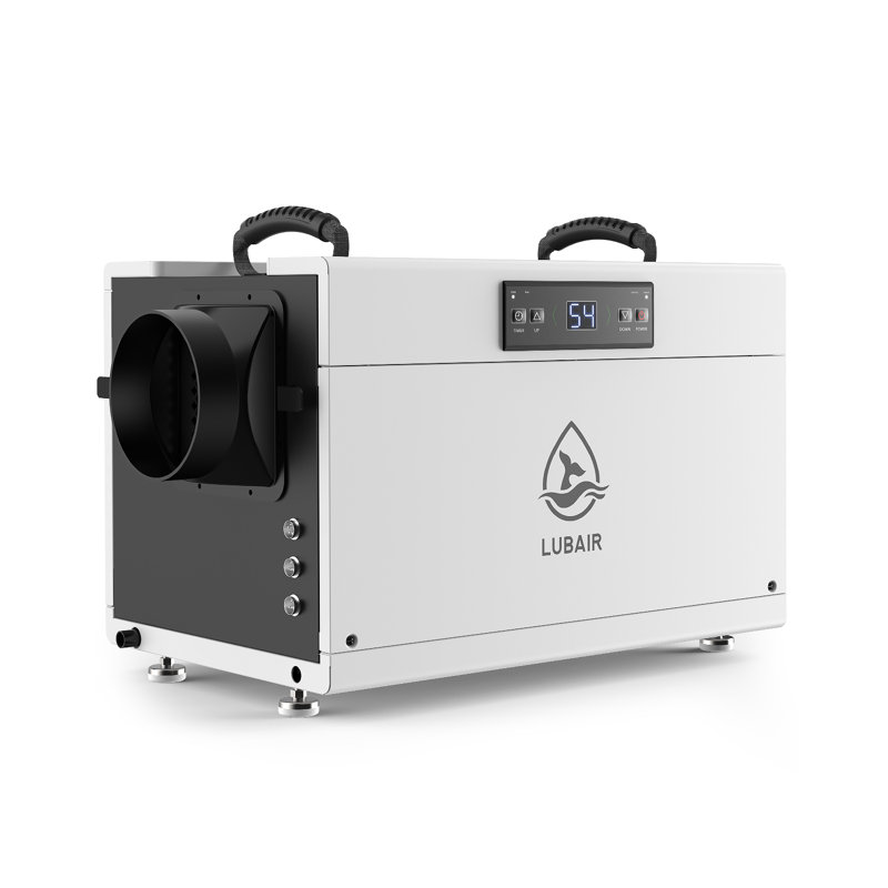 145 Pint Crawl Space Dehumidifier with Drain Hose – Ideal for Basements, Attics, and Tight Spaces