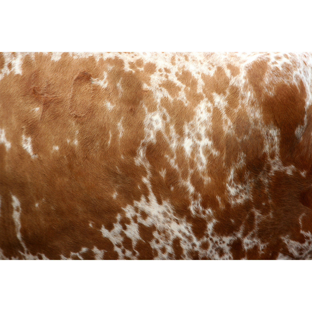 Cow Skin von Colevineyard - Leinwandbild