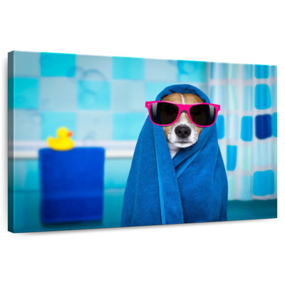 Jack Russell Bath Time