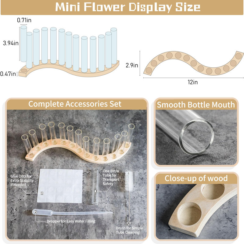 Vase en forme de S pour tubes à fleurs, station de propagation de petites plantes avec support en bois de hêtre massif (bois clair)