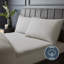 Silentnight Pure Cotton 200 TC Extra Deep Fitted Sheet-112620261-112620266