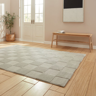 Elio Arvillia Machine Woven Silver Area Rug