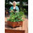 Warlick City Picker Raised Bed-692040793