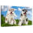 Husky Babies-1618129112