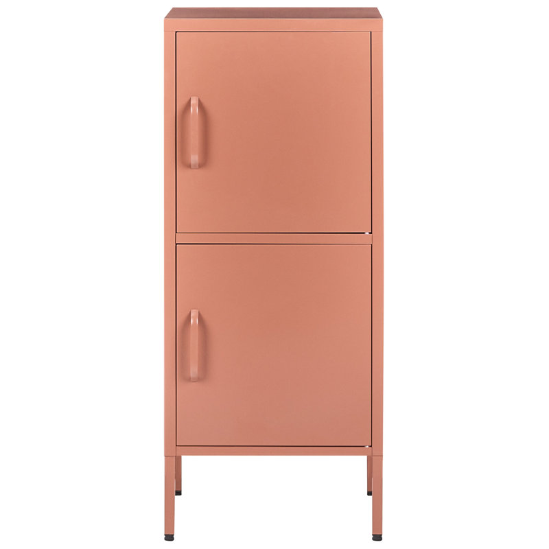 2 -Door 4 -Shelf Storage Cabinet