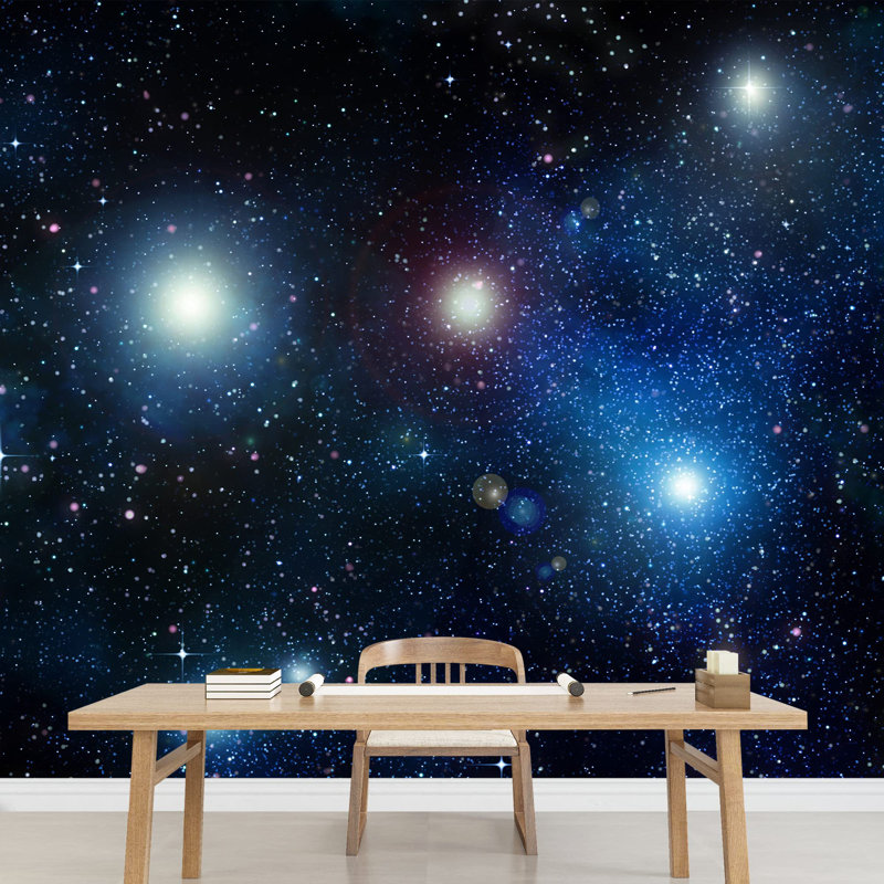 Wall Mural, 100" L x 144" W