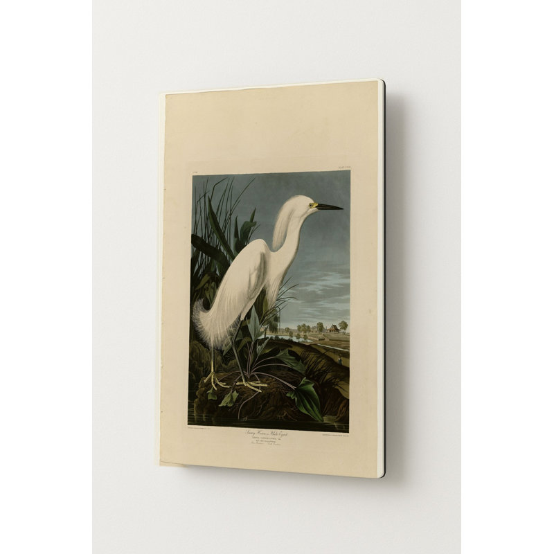 Héron neigeux ou Aigrette blanche (1821) — Portrait en métal, H 14 po x l 11 po