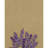 Amra 100% Cotton Ultra Light Hand Towel
