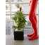 Nano Resin Pot Planter-60201305-60201316