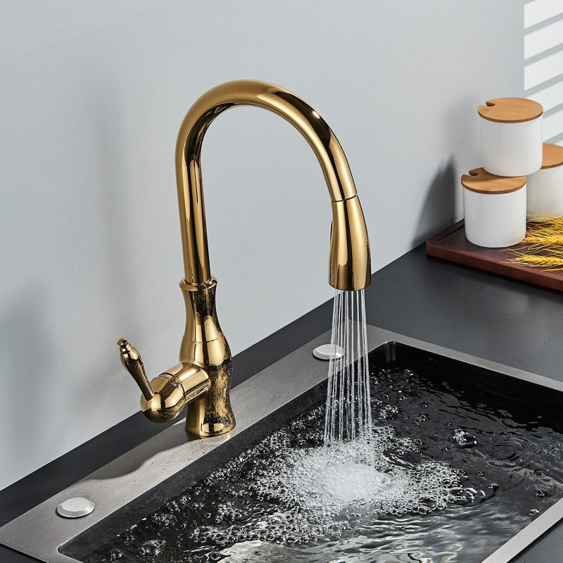 Fairmont Park Osterdock Pull Out Kitchen Faucet
