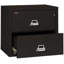 Fireproof 2 - Drawer File Cabinet-221777-332636-12136701