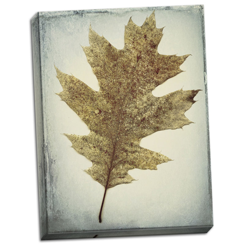 « chêne leaf », reproduction d’impression sur toile tendue