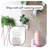 Wall Planters For Indoor Vertical Gardens, Set Of 6, Self Watering