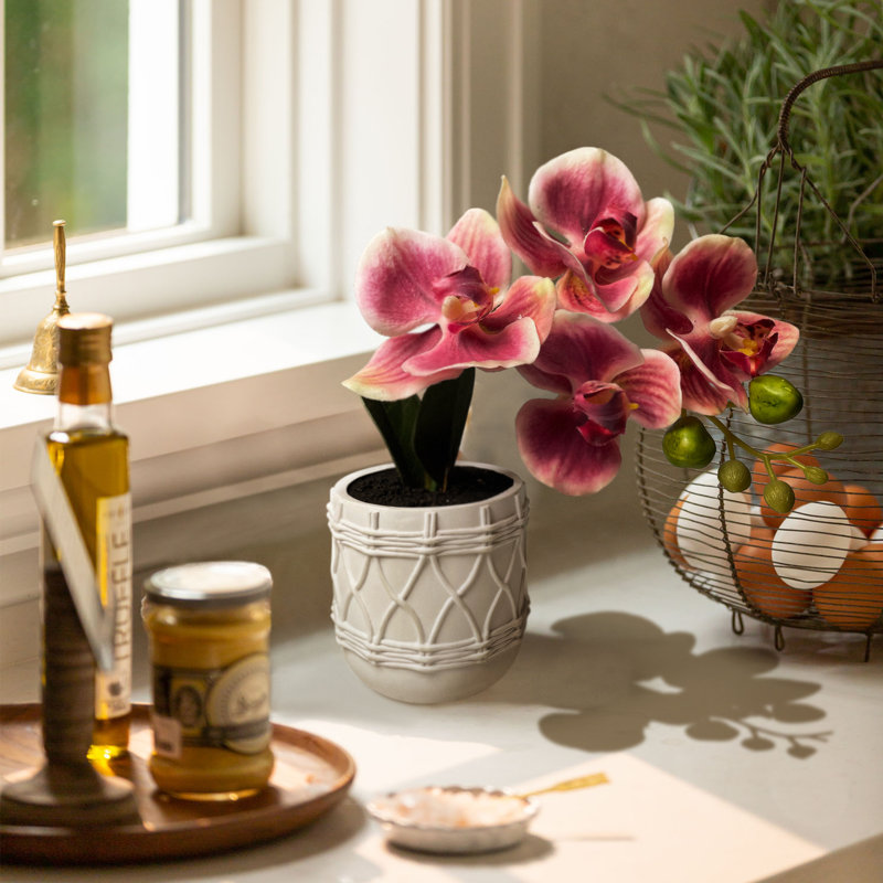 Mini Orchid Flower In Ceramic Pots