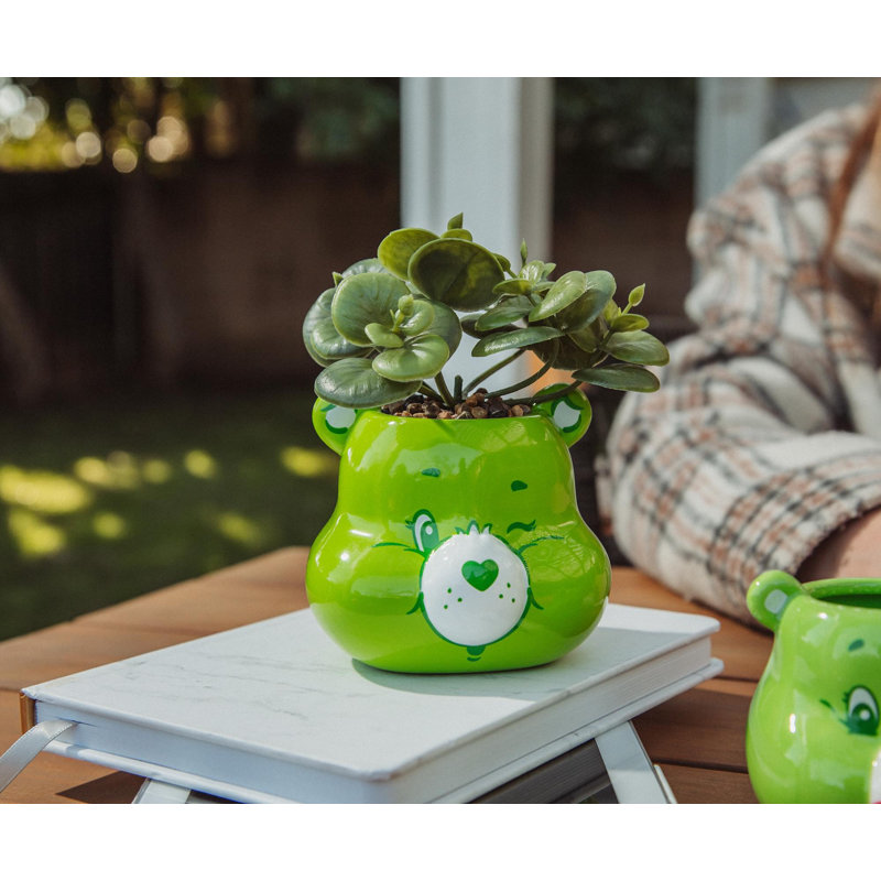 Mini pot à fleurs en céramique 5 pouces avec plantes succulentes Care Bears Good Luck Bear
