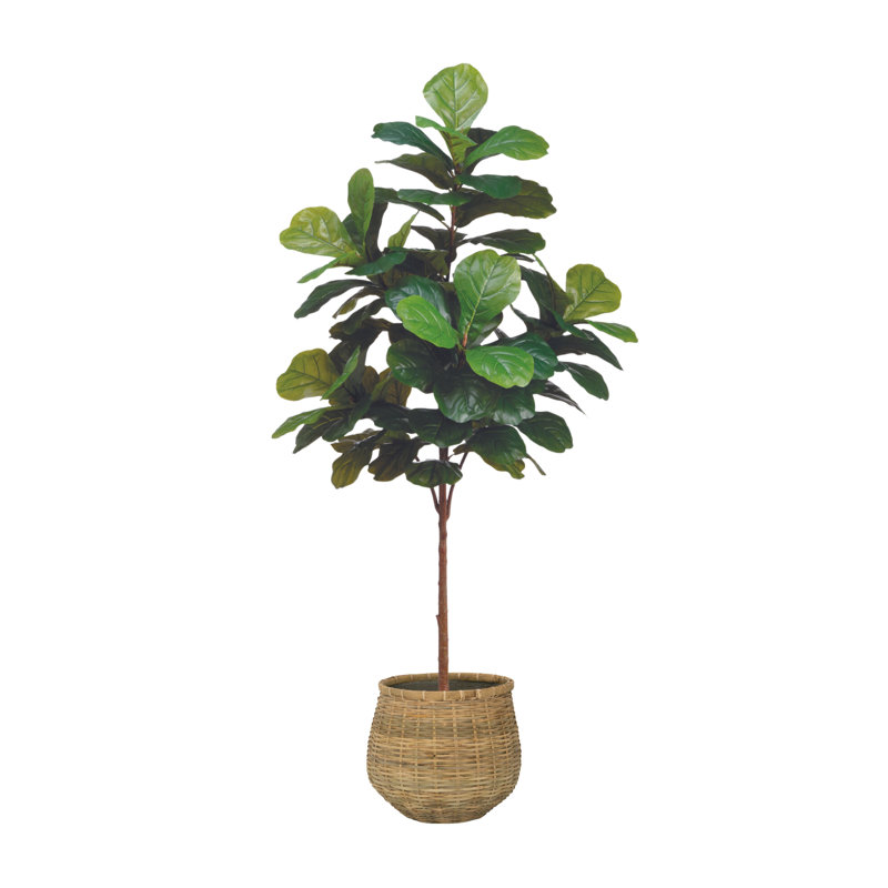 6' Fiddle Leaf Tree with Bamboo Planter