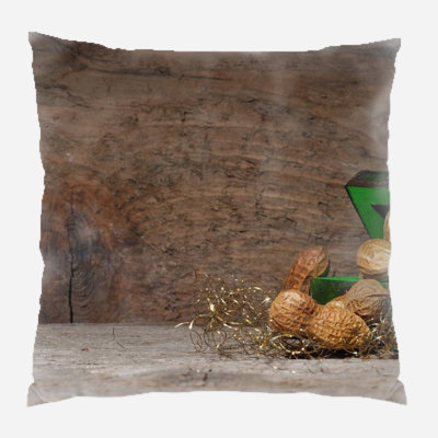 Canvas Outdoor Reversible Throw Pillow