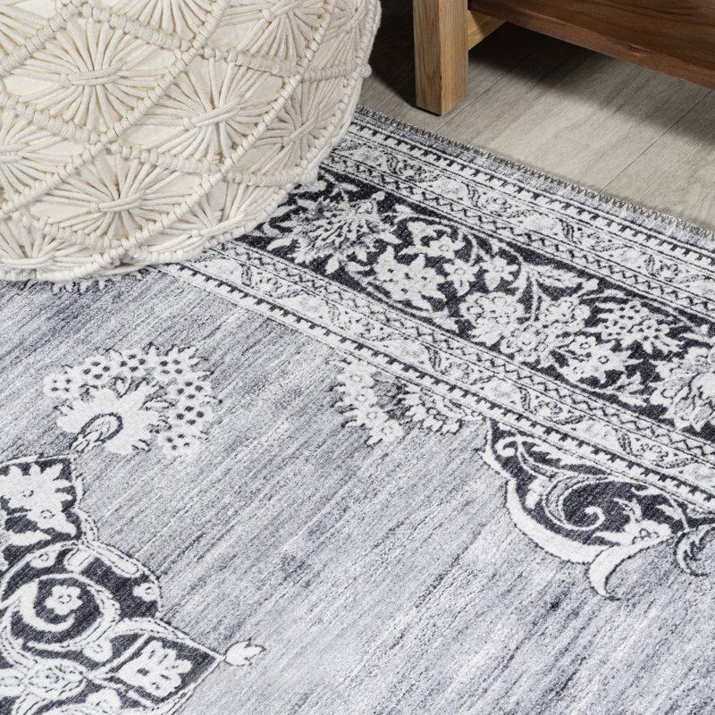 Frutuosa Bohemian Distressed Chenille Machine-Washable Grey/White Rug, Rectangle 3'11" x 6'