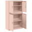  Storage Cabinet Steel Lockable-88423287