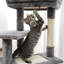 Arbre à chat et condo 44 "Eresus-2040677094