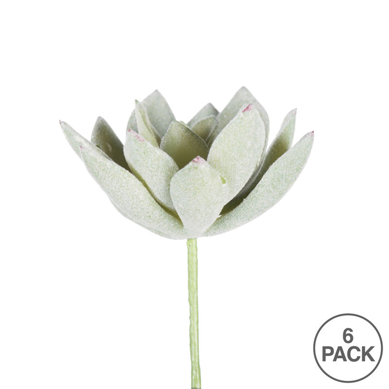 Ensemble de 6 branches artificielles Echeveria