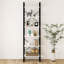 Idasia Ladder